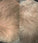 Scandinavian Biolabs hair growth treatment (men) - Hair Growth Specialist