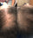 Spectral.CSF (Adenosine) lotion - Hair Growth Specialist